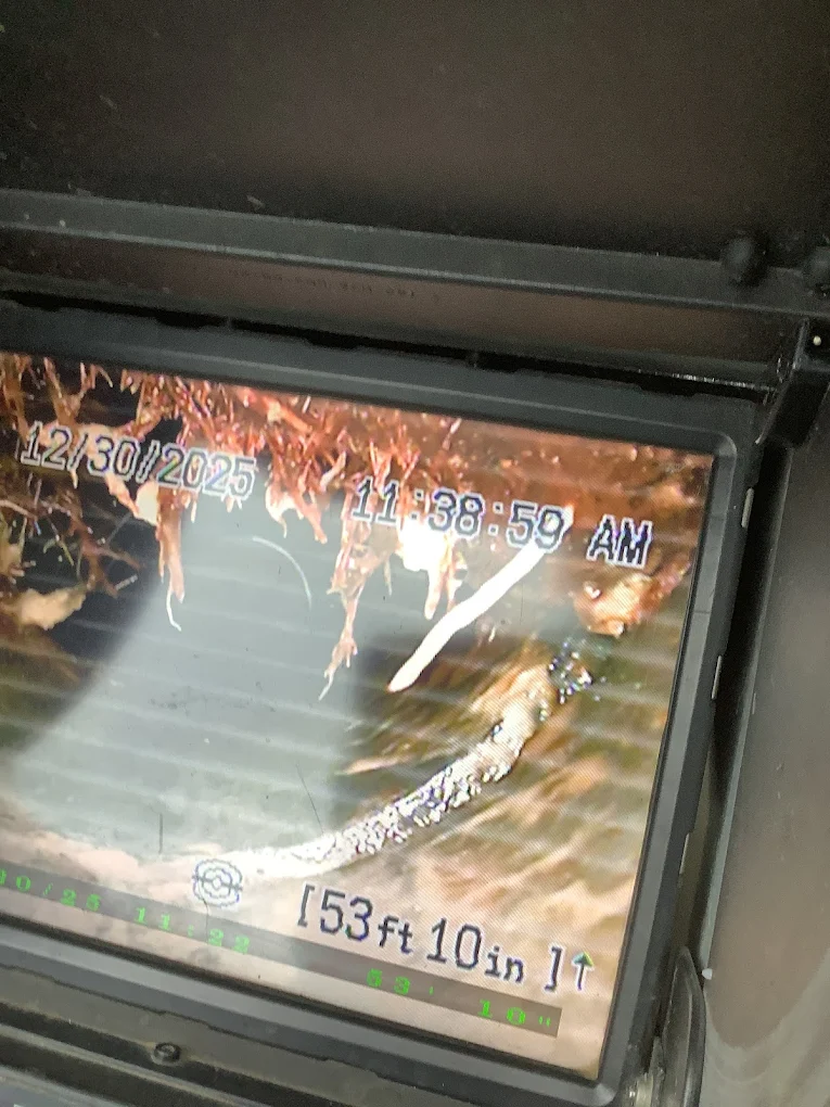 AAA Paradise Plumbing sewer camera inspection showing root intrusion at 53 ft 10 in — the kind of buildup hydro-jetting is designed to clear, in Ventura, CA